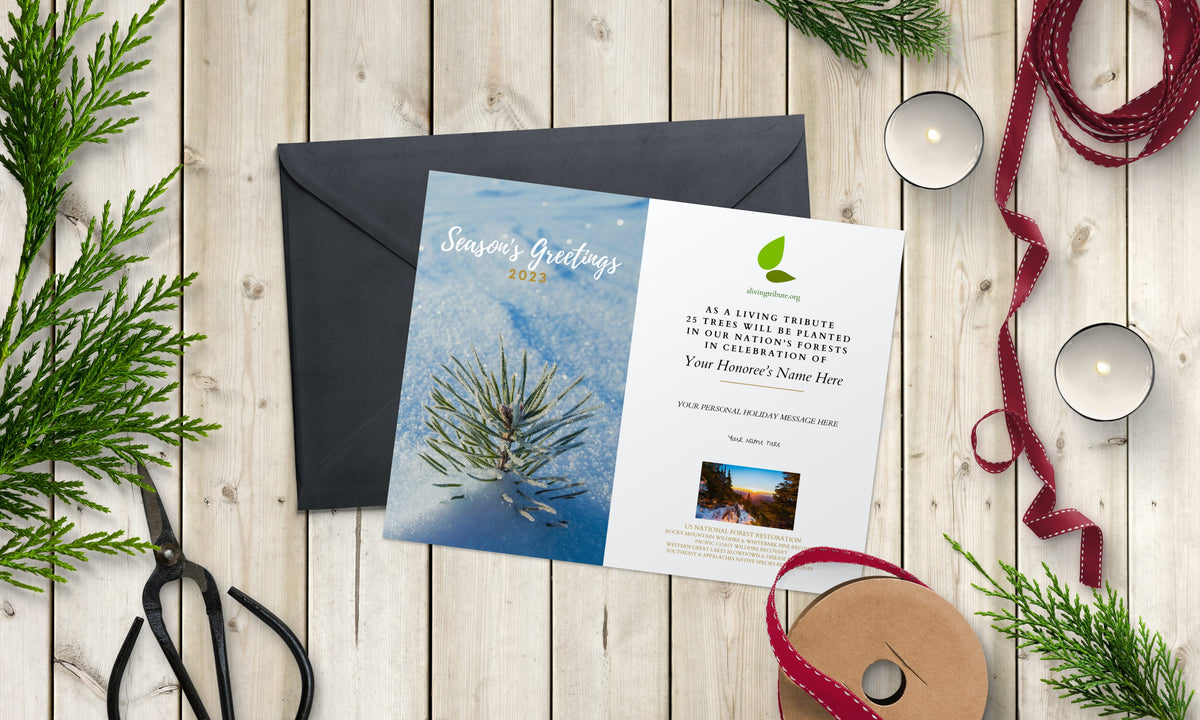 Plant a Tree Holiday Card 2026