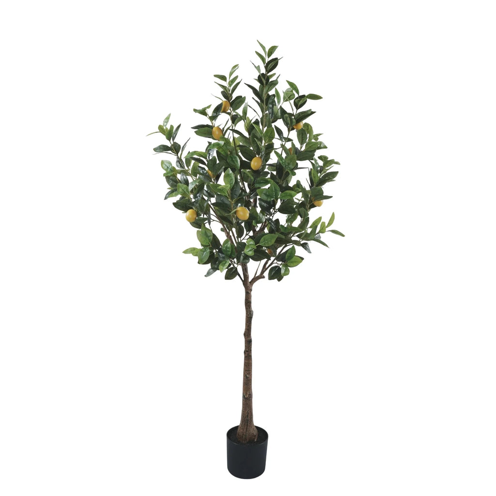 Lemon Artificial Tree 63.0in