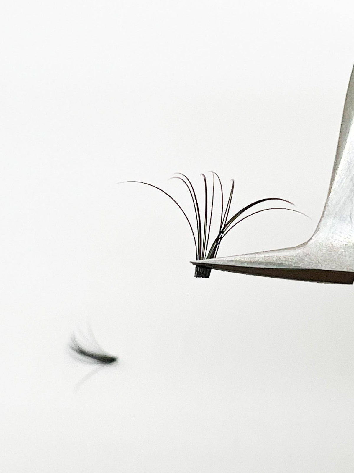VIP Quick Fan Lash Extensions 0.05 mm C Curl | 12-Line Tray