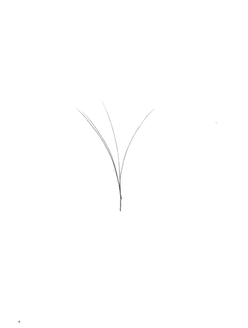 VIP V Type Easy Fan Lash Extensions 0.05 mm C Curl | 12-Line Tray